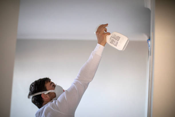 Best Certified Mold Removal  in Houston, MO