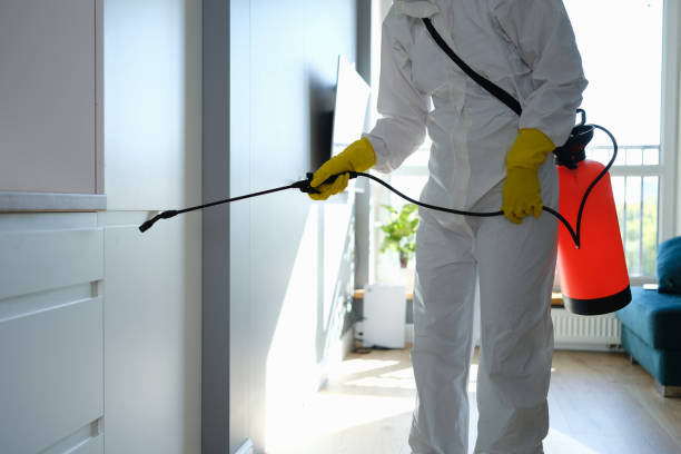 Best Home Mold Removal  in Houston, MO