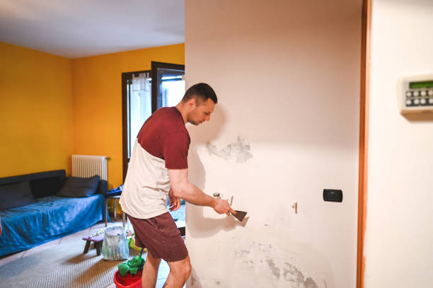 Houston, MO Mold Removal Company